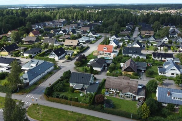 Хитрый Хряк/Pexels