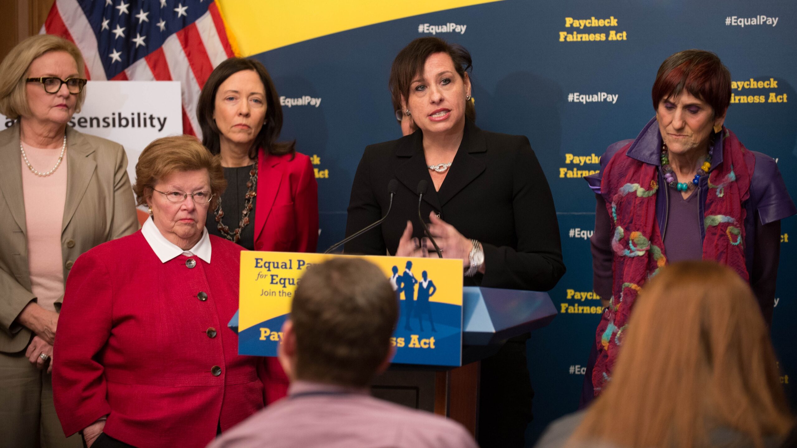 SENATE AND HOUSE DEMOCRATS ALONG WITH ADVOCACY GROUPS TO URGE SENATE PASSAGE OF PAYCHECK FAIRNESS AC (13563639774)