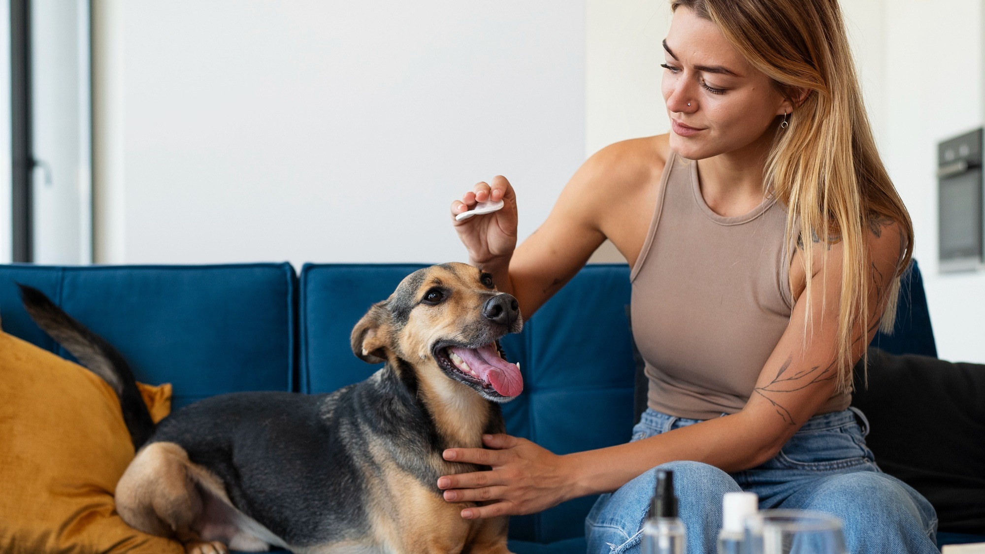Medium shot smiley woman cleaning dog