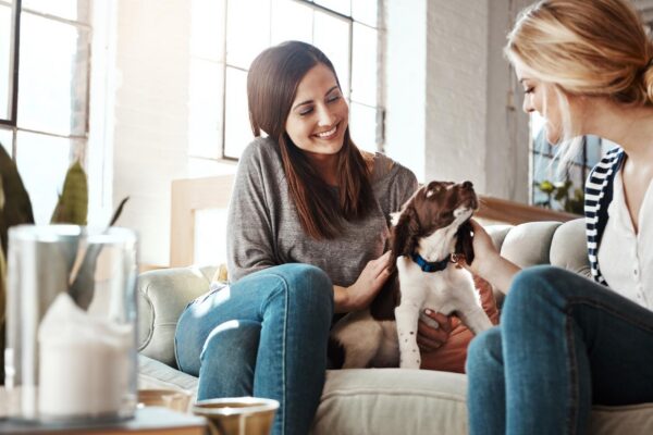 Women relax pet care and dog on sofa in living room for calm peace and quality time with pets Puppy lifestyle happiness and animal care in home with female owners for love or support on couch