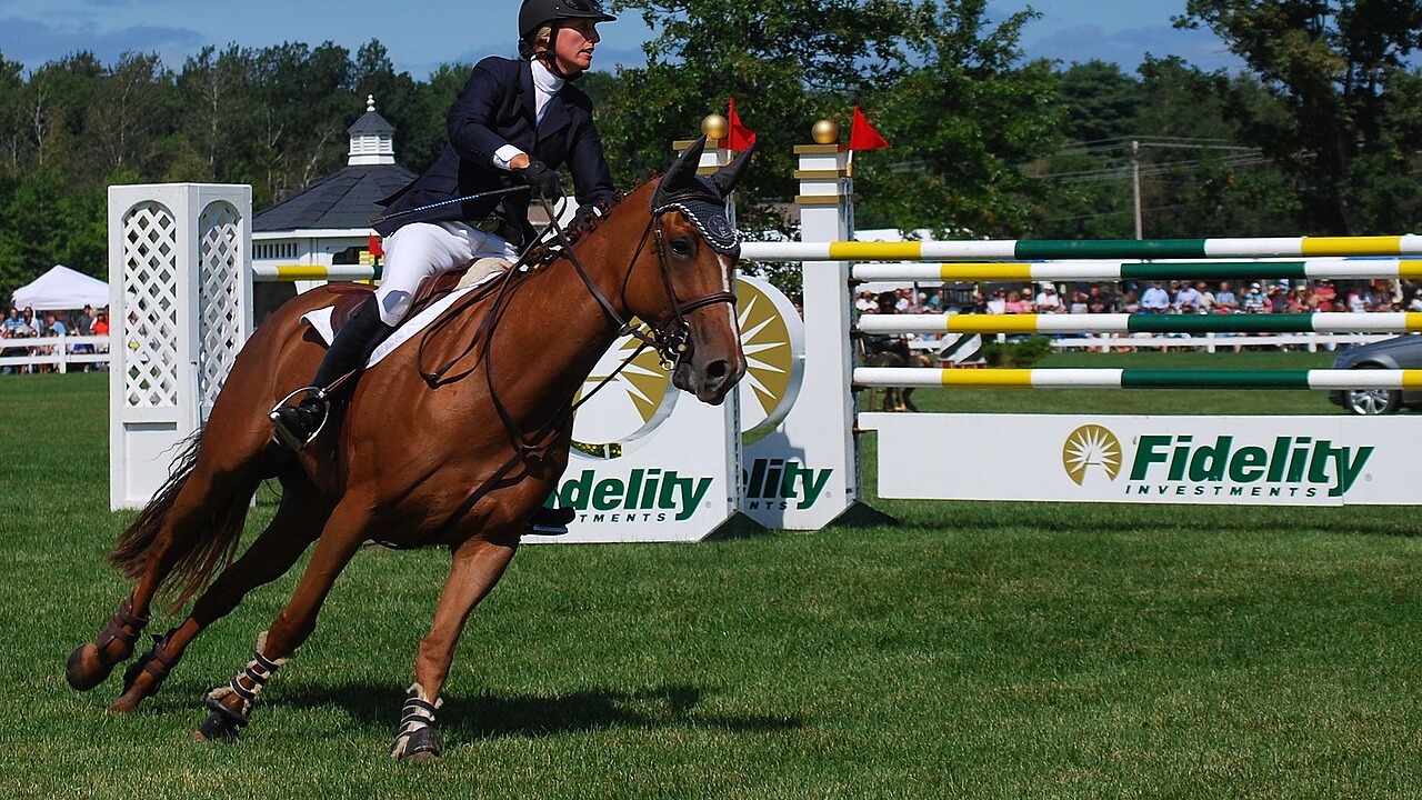 The 2008 Fidelity Investments Jumper Classic was held at the Silver Oak Equestrian Center, Hampton Falls, New Hampshire on September 7, 2008. Hurricane Hannah threatened but did not affect the final day's meet.