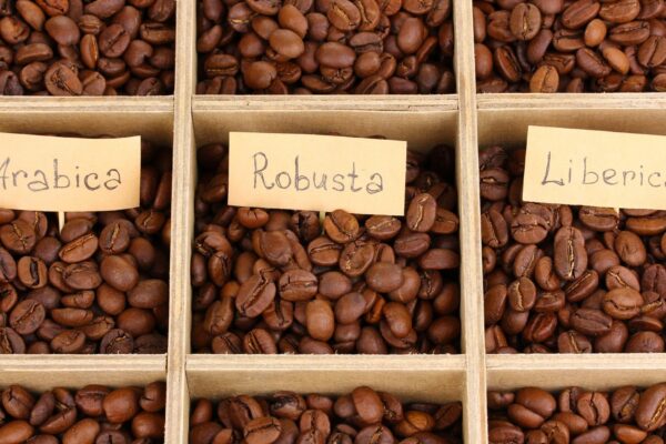 Coffee beans in wooden box closeup