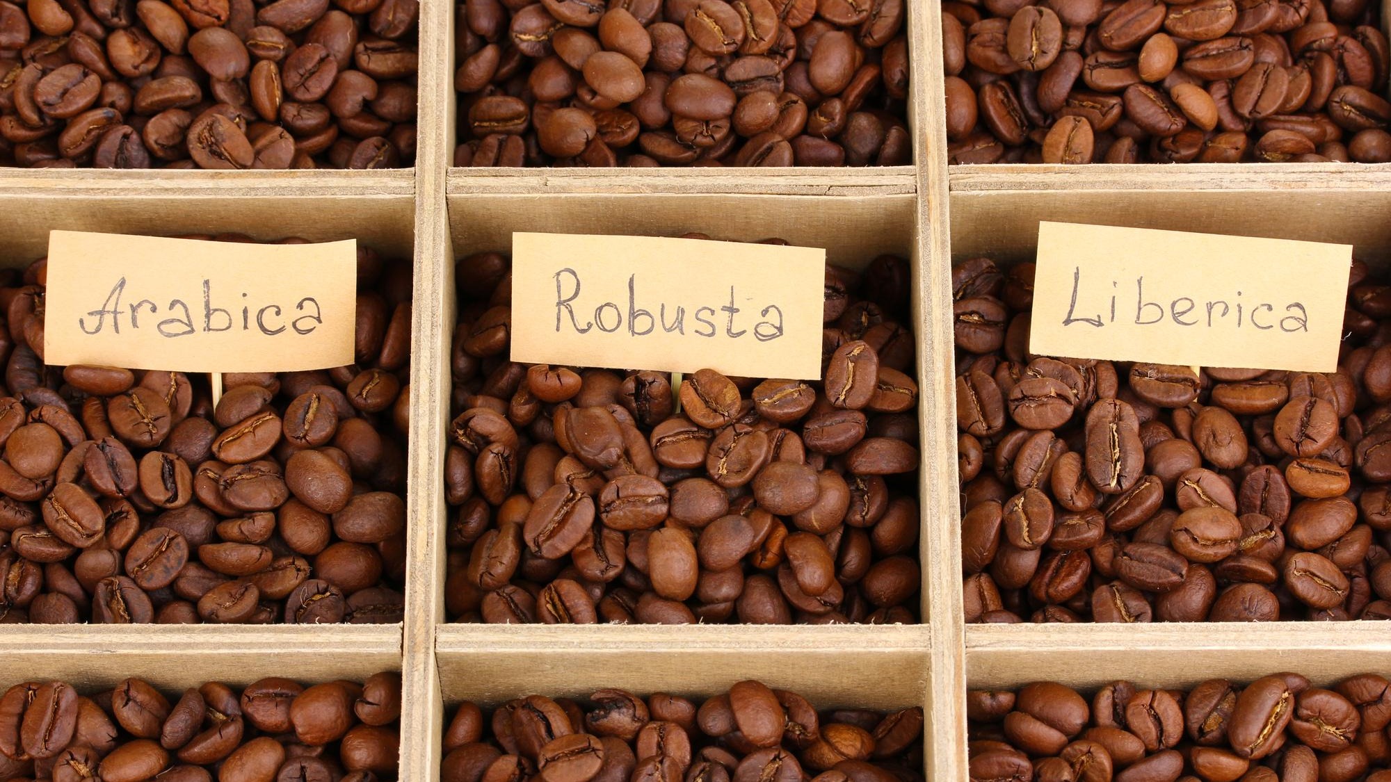 Coffee beans in wooden box closeup
