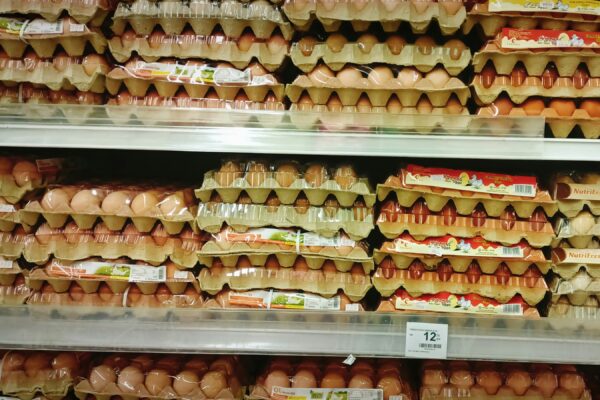 a display in a grocery store filled with lots of eggs