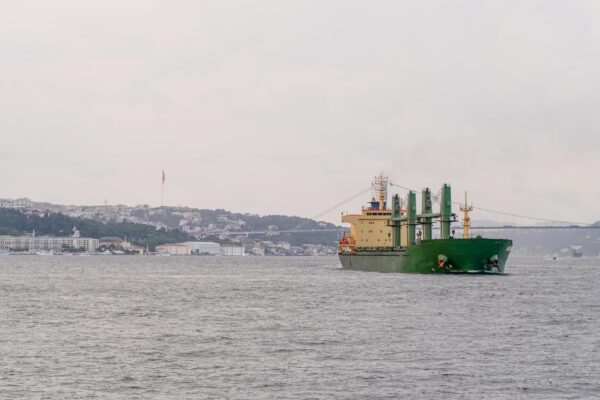 A cargo ship navigates the Bosphorus near Istanbuls coastline showcasing