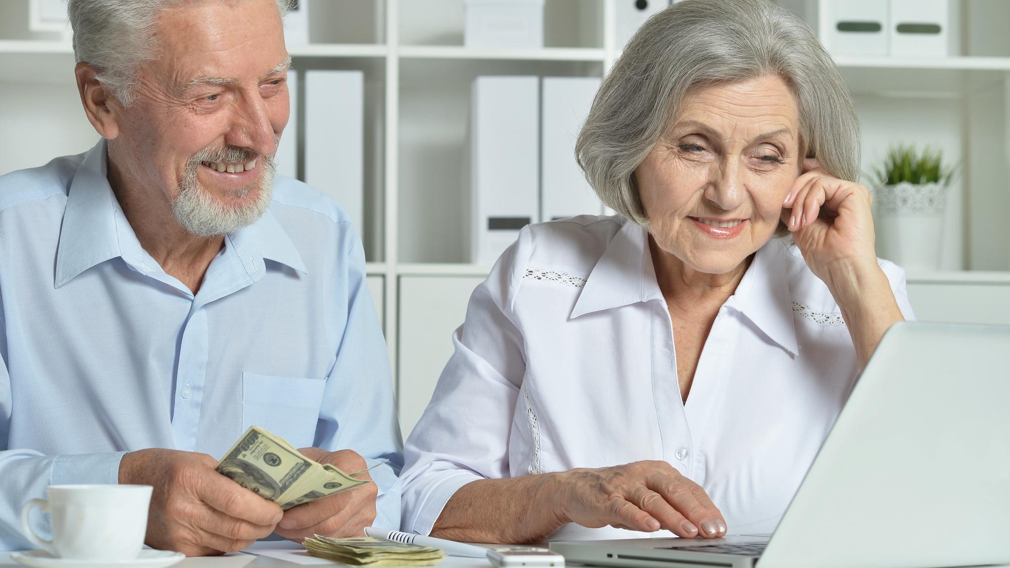 Portrait of an elderly couple with a laptop