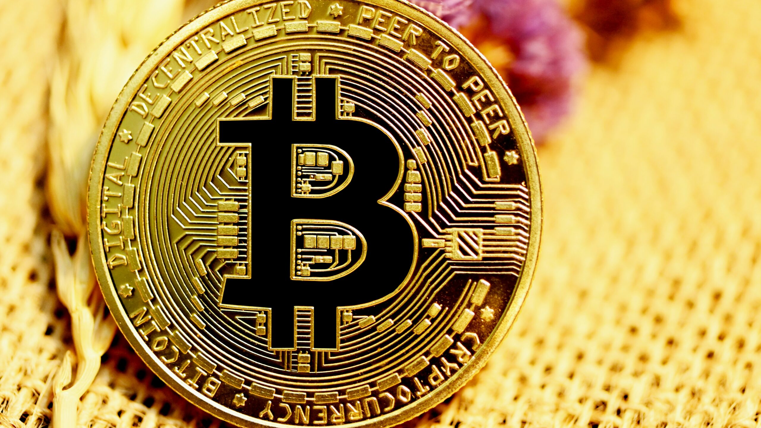 gold and black round coin