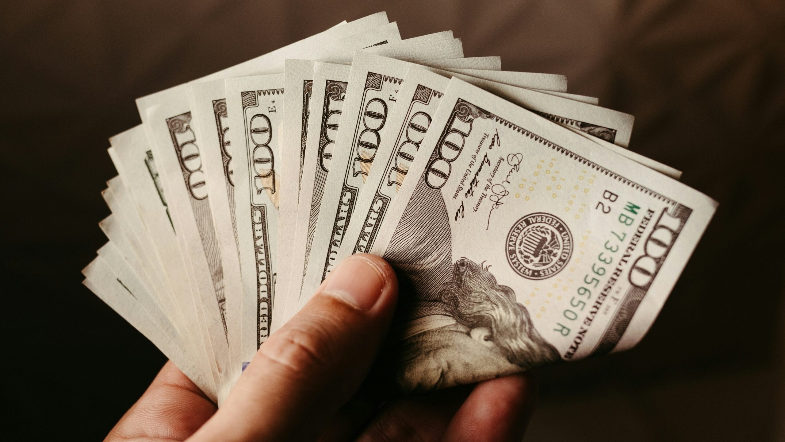 a person holding a bunch of money in their hand
