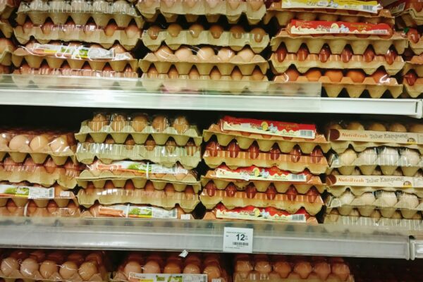 a display in a grocery store filled with lots of eggs