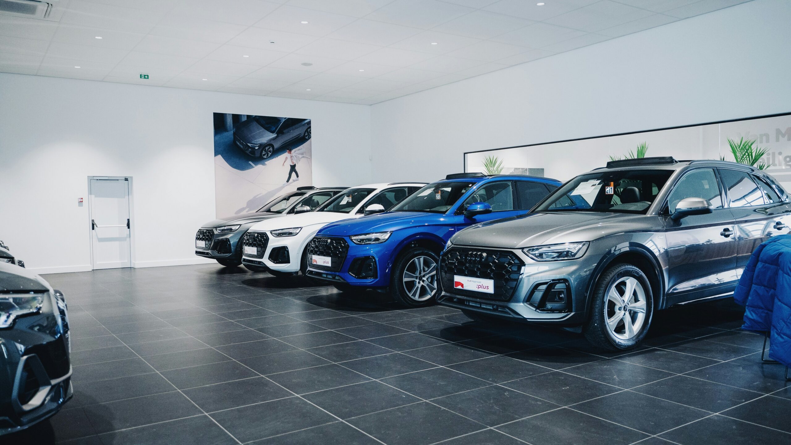 Cars are lined up in a showroom.