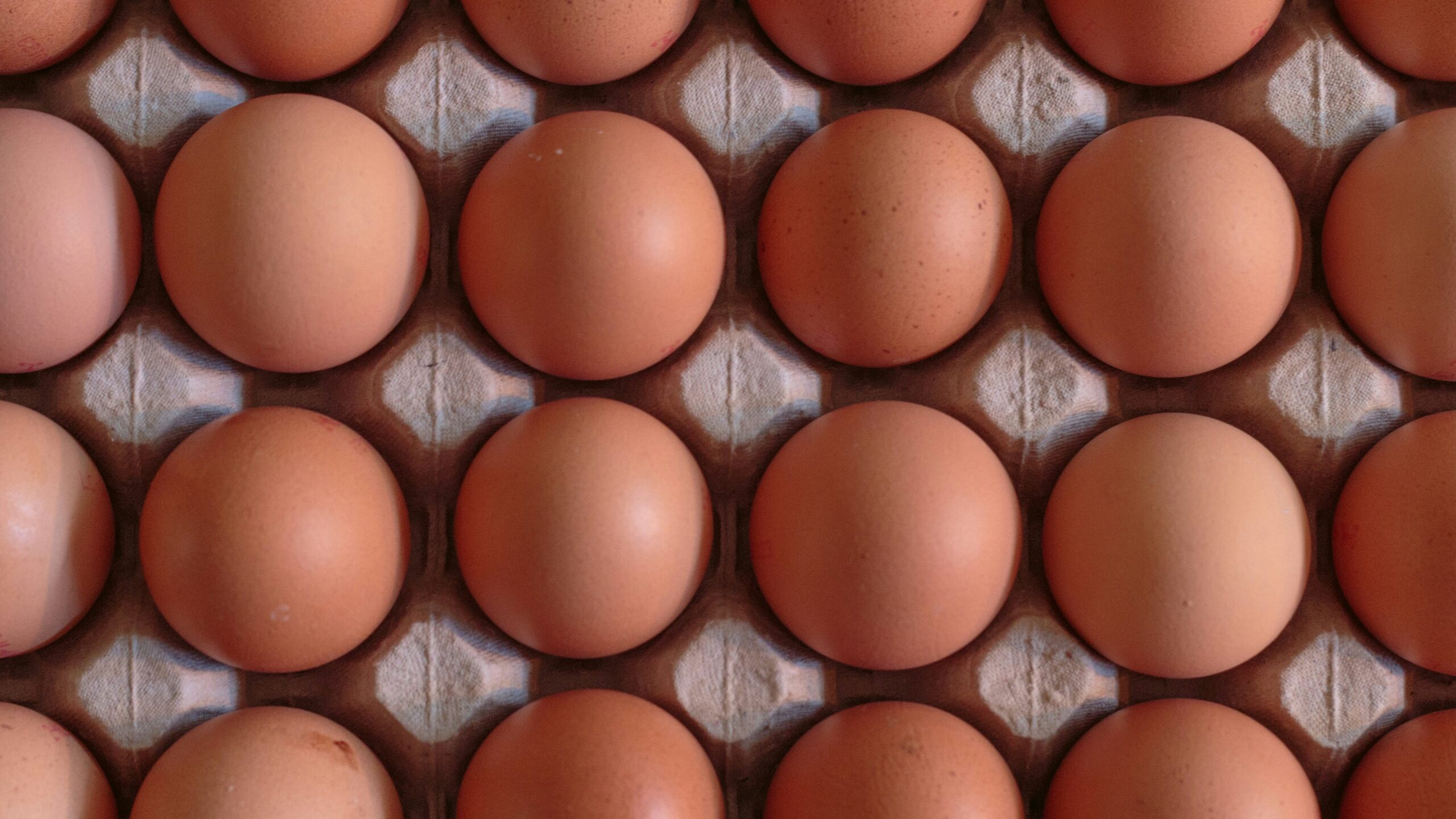 a bunch of brown eggs in a carton