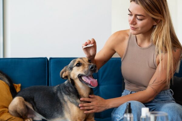Medium shot smiley woman cleaning dog