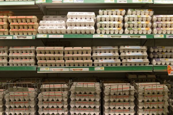Eggs in a grocery store.