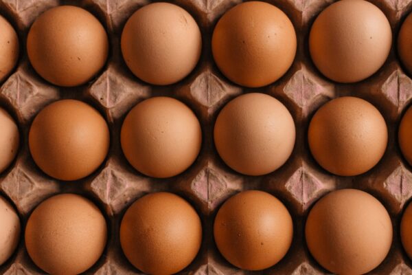 native egg lot