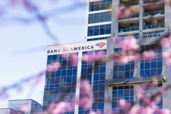 Bank of america building seen through pink blossoms