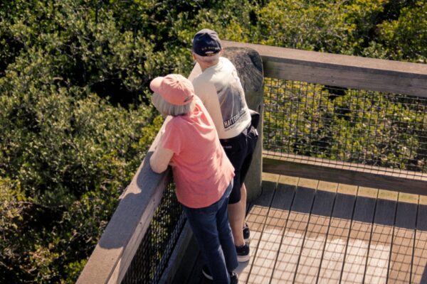 Two people on a wooden observation deck overlooking trees