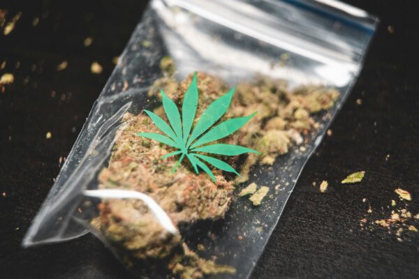 ground cannabis on clear plastic bag