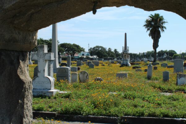 Stone archway frames a cemetery with gravestones and yellow wildflowers.