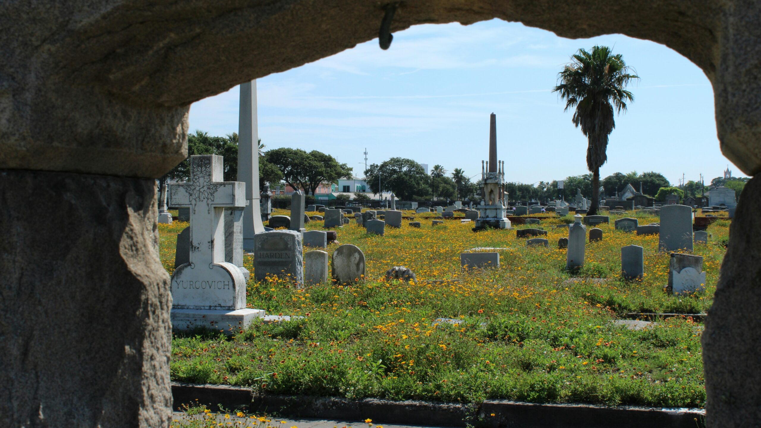 Stone archway frames a cemetery with gravestones and yellow wildflowers.