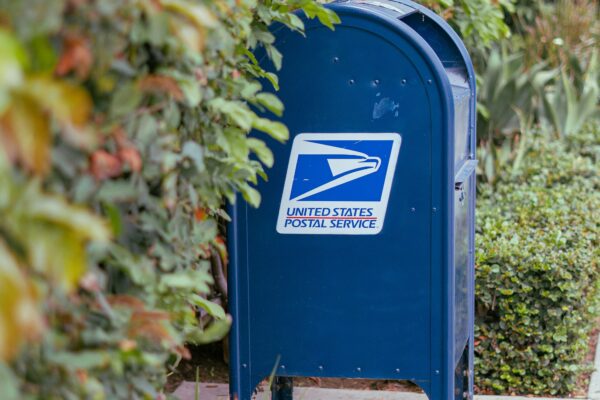 A blue usps mailbox stands among green bushes and plants.