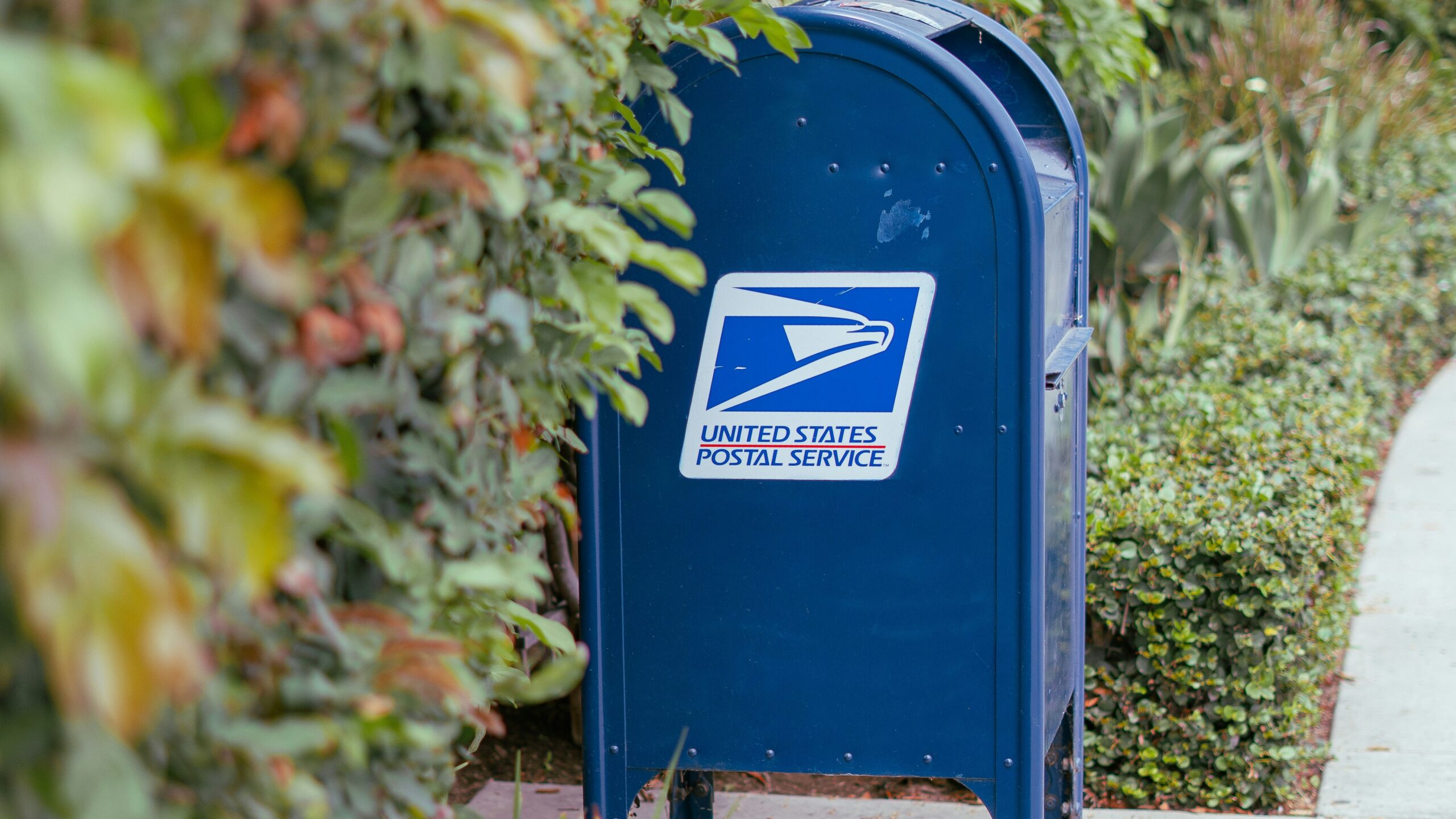 A blue usps mailbox stands among green bushes and plants.