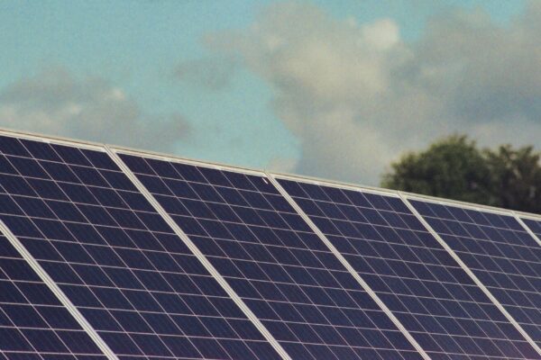 Photograph of solar panels capturing renewable energy under a blue sky, promoting sustainability and environmental protection.