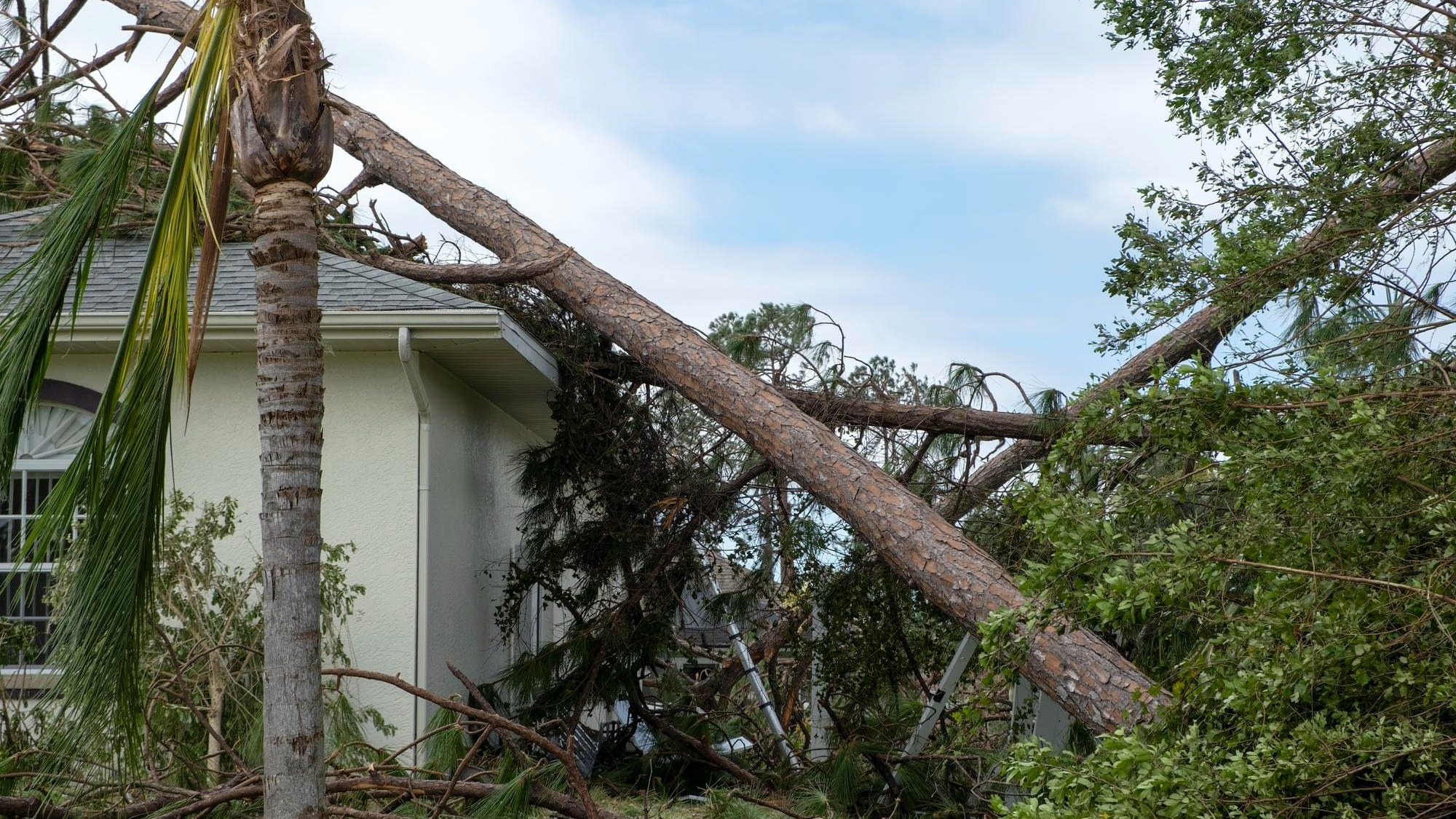 Tree damage to home rooftop after hurricane in Florida Fallen down debris after strong tropical storm winds Consequences of natural disaster