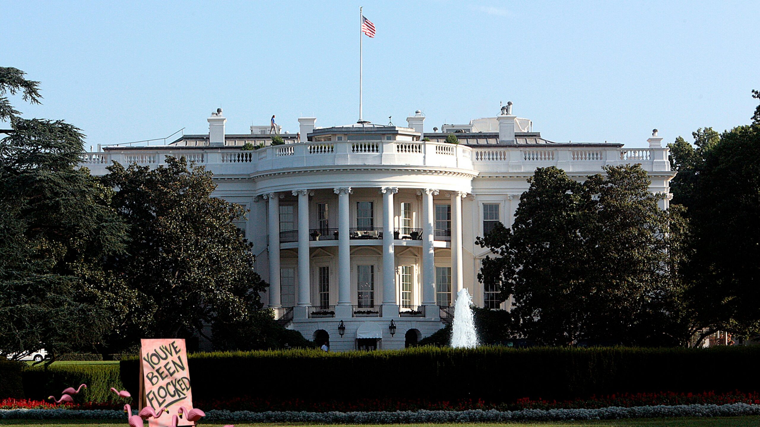 a pink protest sign in front of the white house