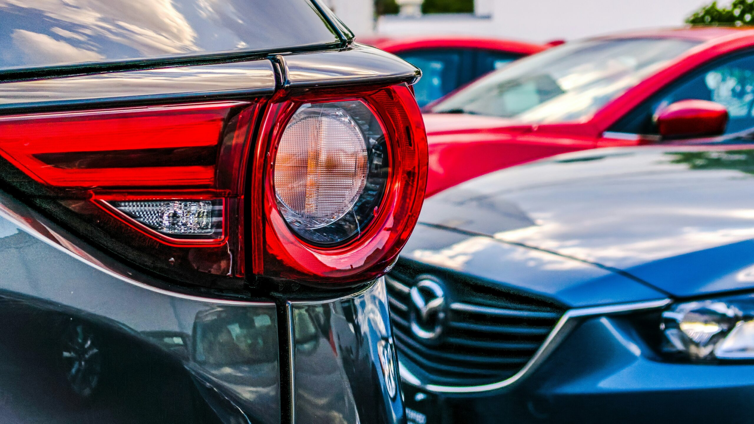 vehicle taillight