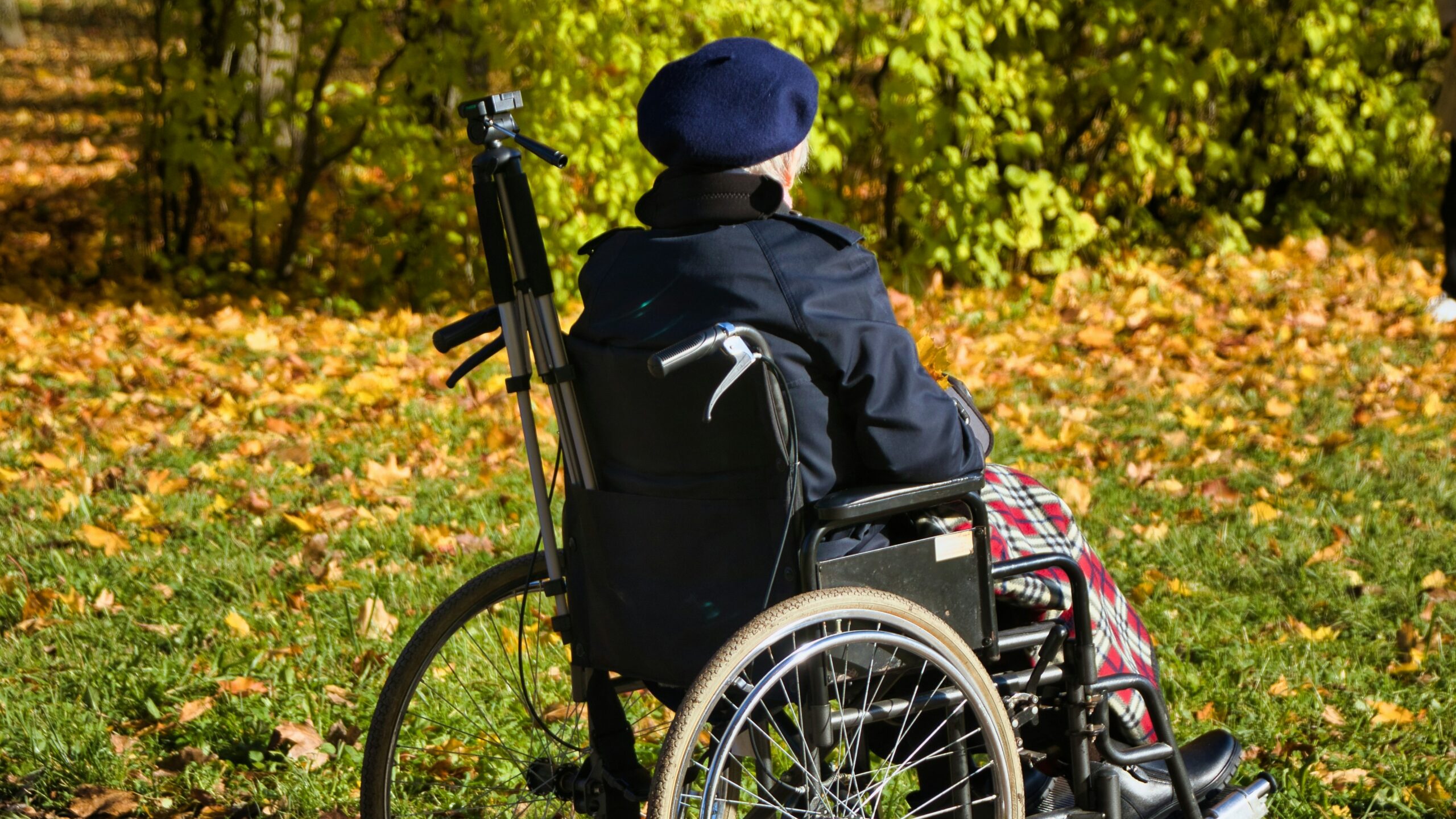 A person in a wheel chair on a path