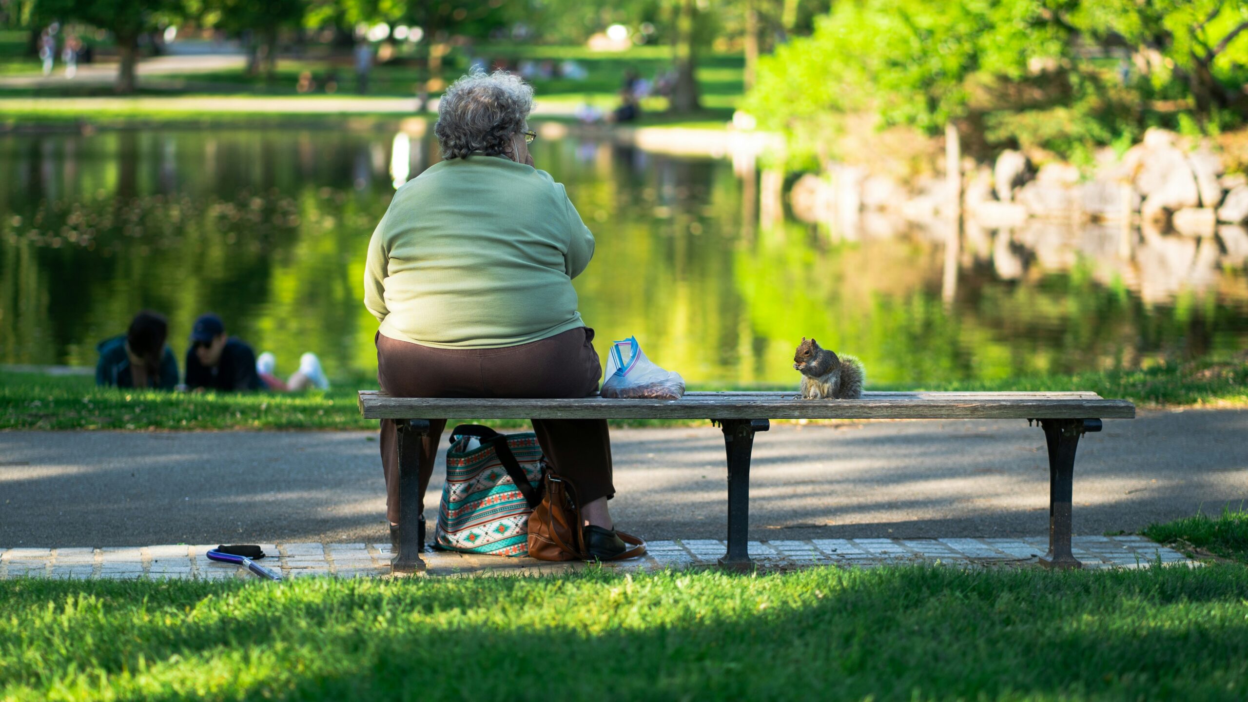 a woman sitting on a bench next to a cat