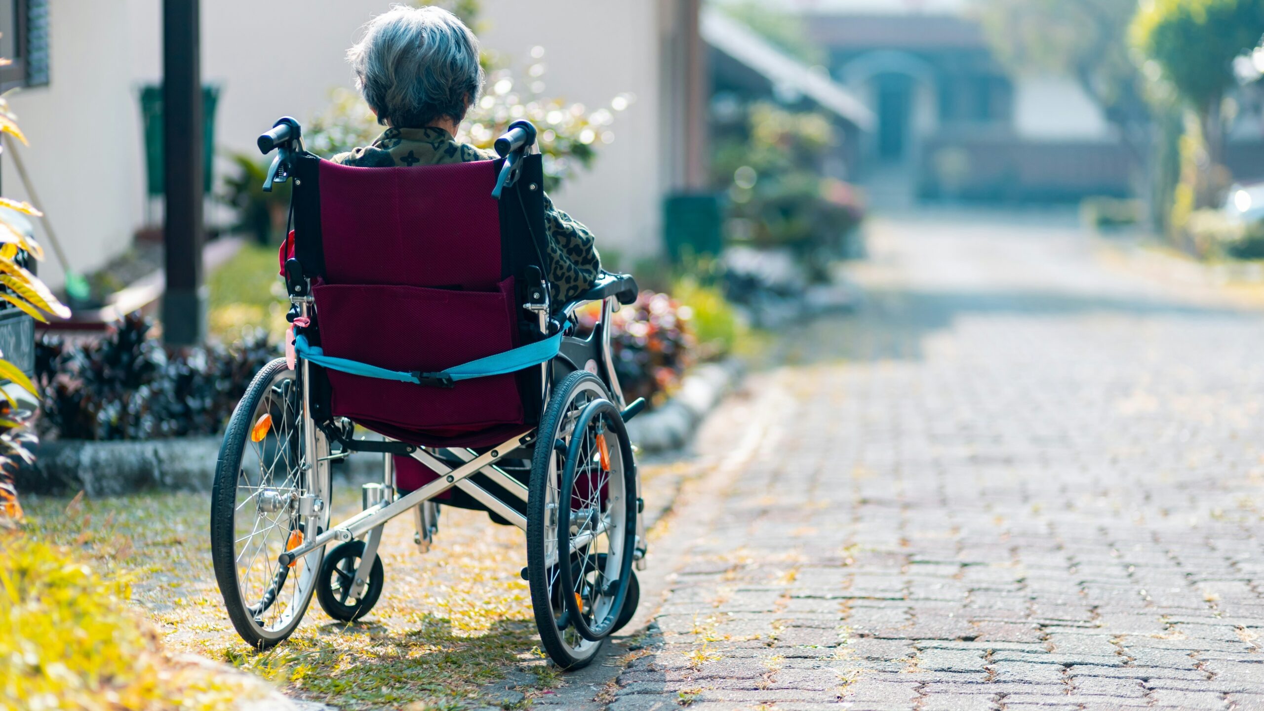 woman sitting on wheelchair