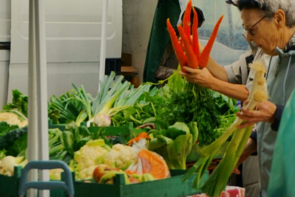 Elderly person holding red peppers at market stall