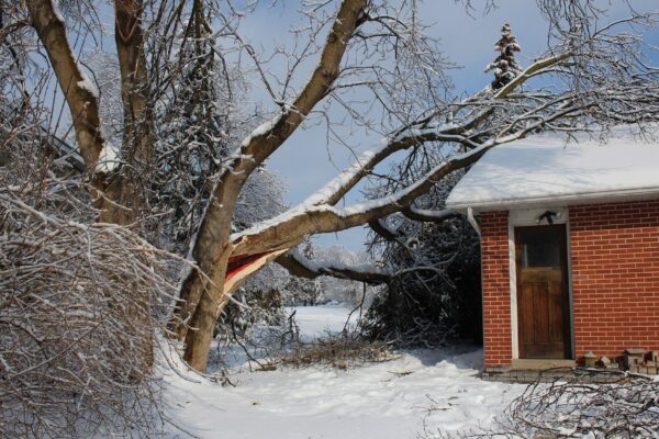 storm damaged house roof