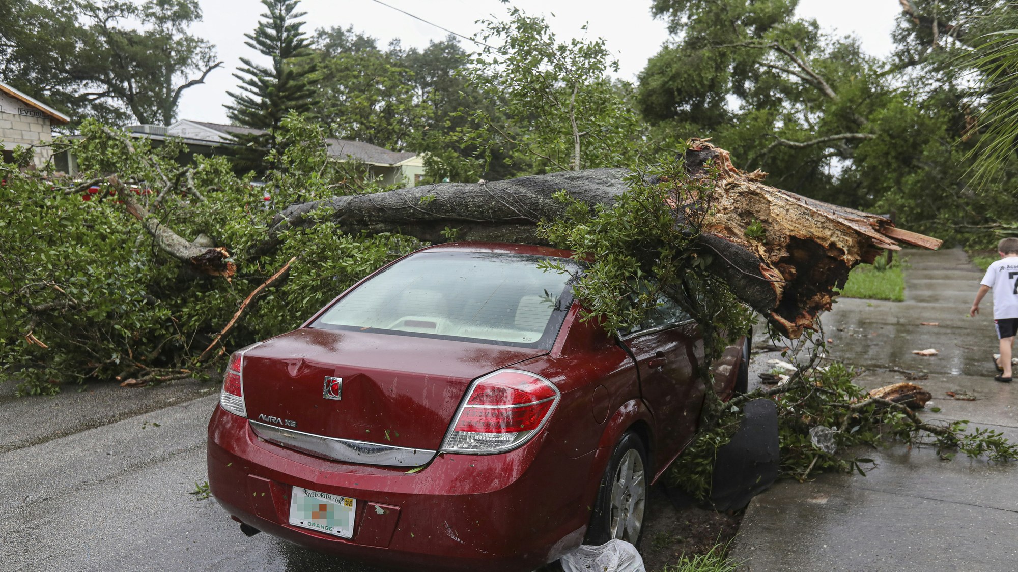 Storm damage