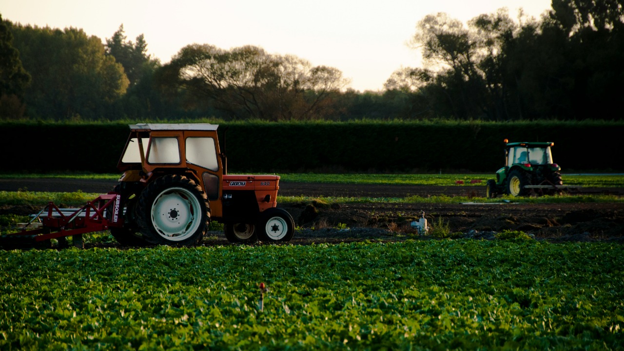 orange tractor