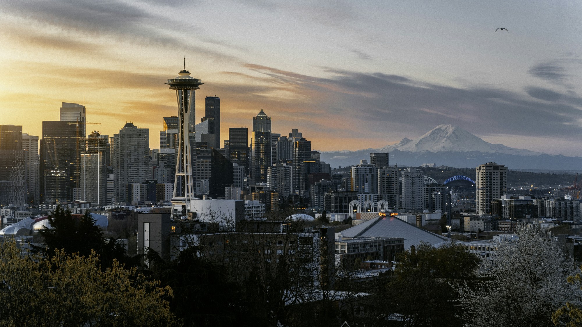 Image Credit: Stephen Plopper/Unsplash