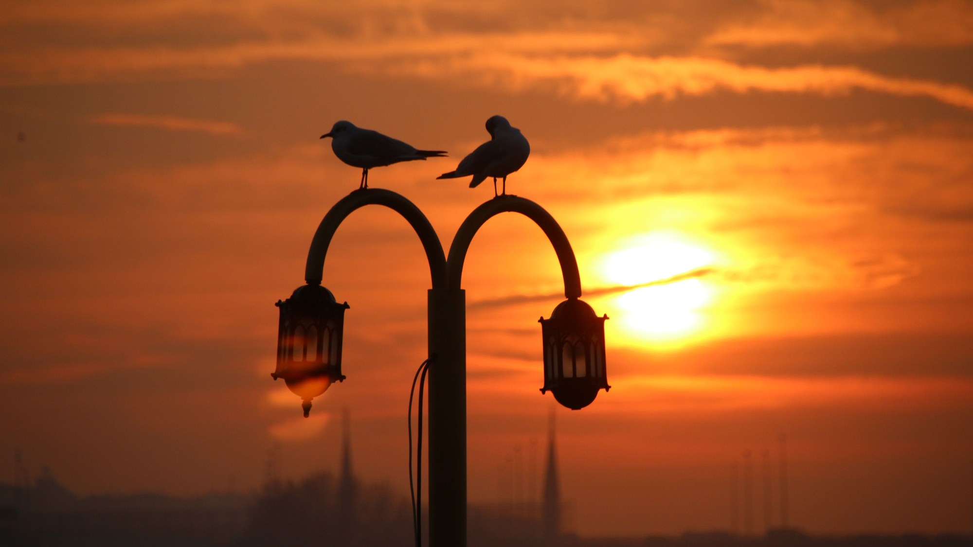 Lamppost