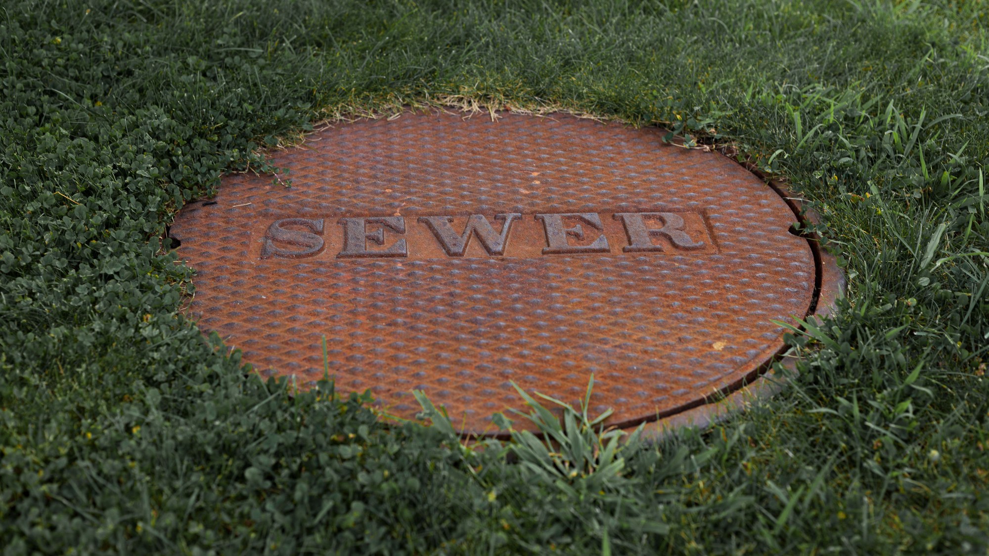 Sewer