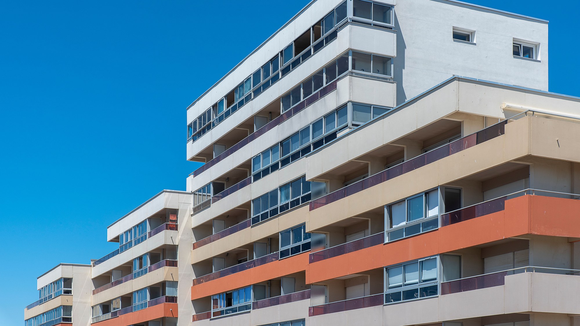 Image Credit: Pexels/Pexels